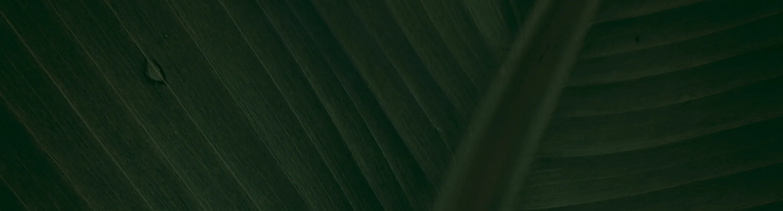 Beurre de Karité 100% Naturel – 200g