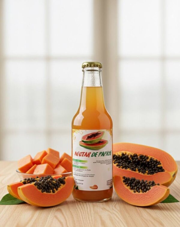 Nectar de Papaye 25 cl